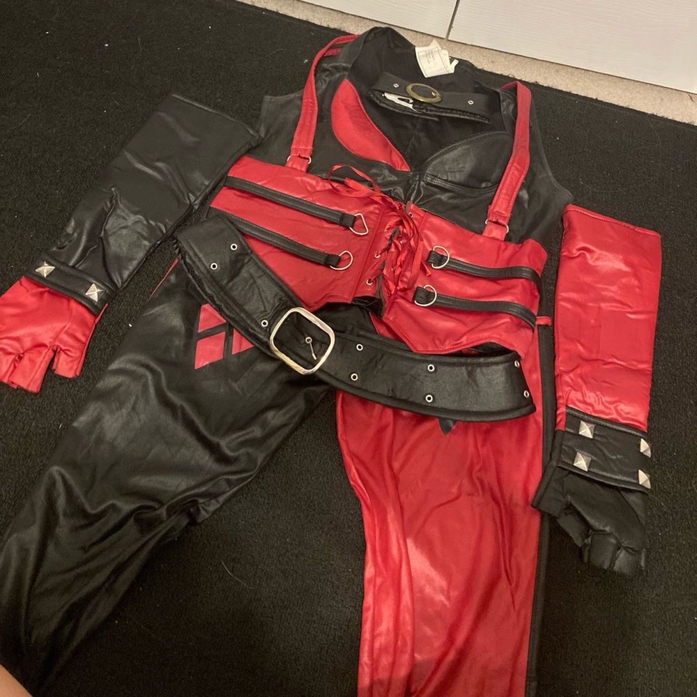 Arkham City Harley Quinn Costume